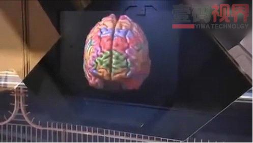 全息影像呈现大脑模型